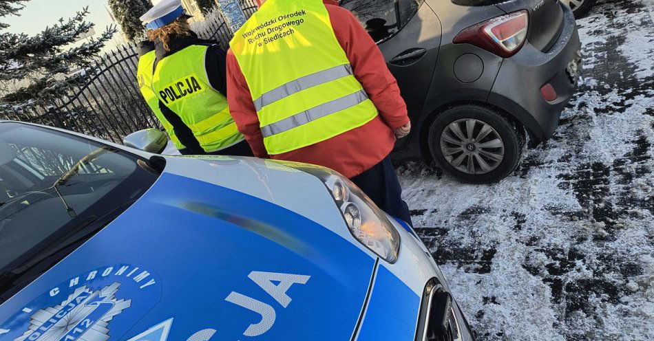 zdjęcie: Policja i WORD uczą bezpiecznej jazdy zimą / fot. KPP w Sokołowie Małopolskim