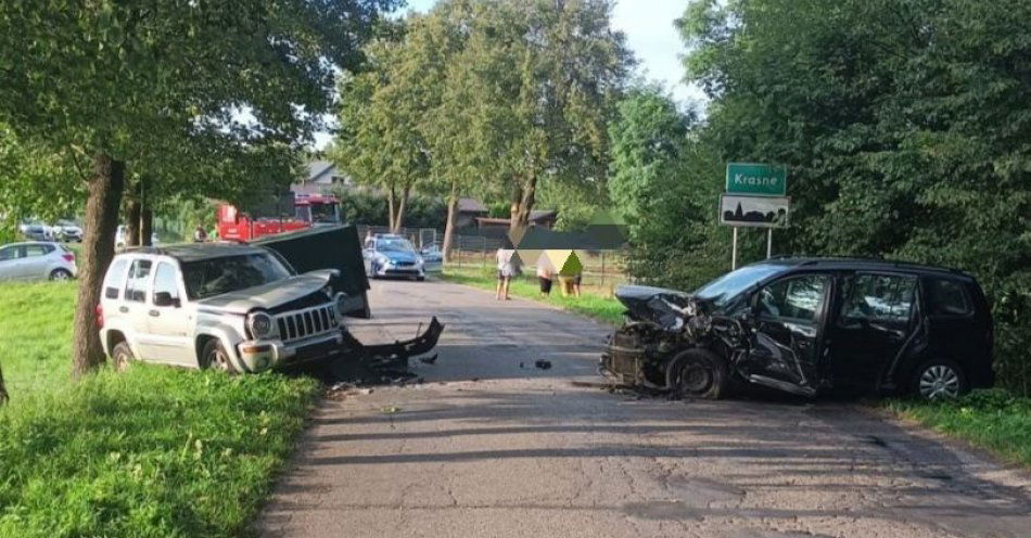 zdjęcie: Wypadek w miejscowości Krasne / fot. KPP Lubartów