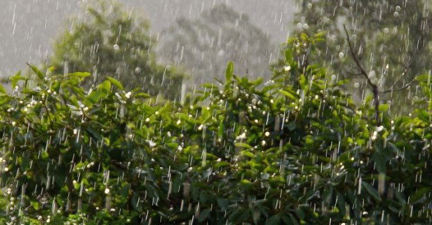 Ostrzeżenie przed burzami z gradem