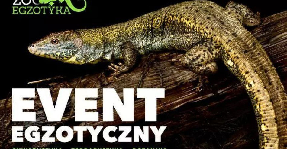 zdjęcie: Event Egzotyczny / kupbilecik24.pl / Event Egzotyczny