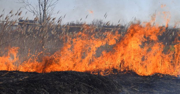 Wypalanie traw jest nielegalne!