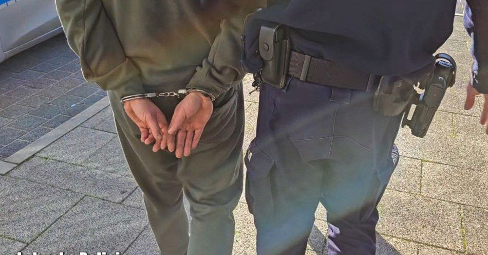 zdjęcie: Pościg w Gubinku: 29-latek z trzema zakazami zatrzymany / fot. KPP Krosno Odrzańskie