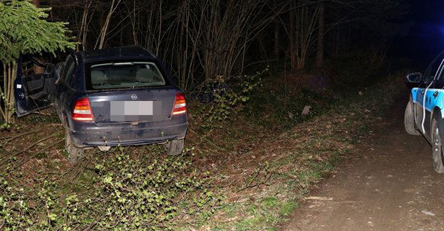 Po 8 piwach zaparkował na drzewie