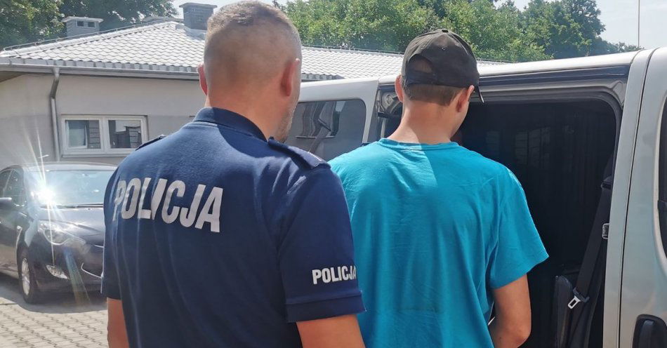 zdjęcie: Sprawca śmiertelnego wypadku trafił do aresztu / fot. KPP w Lipnie