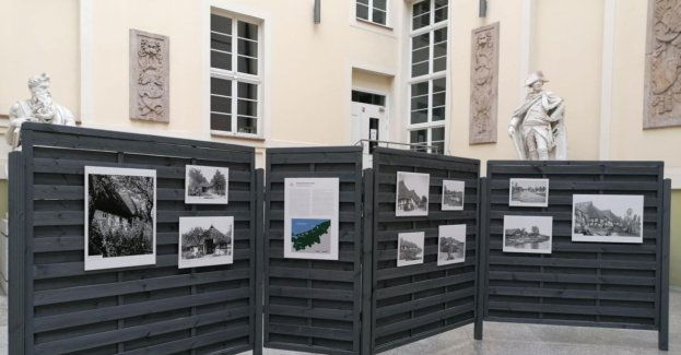 Lipiec w Muzeum Narodowym w Szczecinie