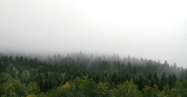 Fatalna pogoda w górach; warunki na szlakach są trudne