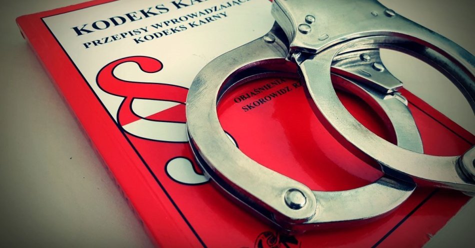 zdjęcie: Kradł części samochodowe na stacji paliw w powiecie sulęcińskim / fot. KPP Sulęcin