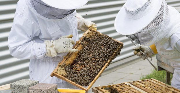 Stowarzyszenia Pszczelarzy Sejn i Puńska z dotacją