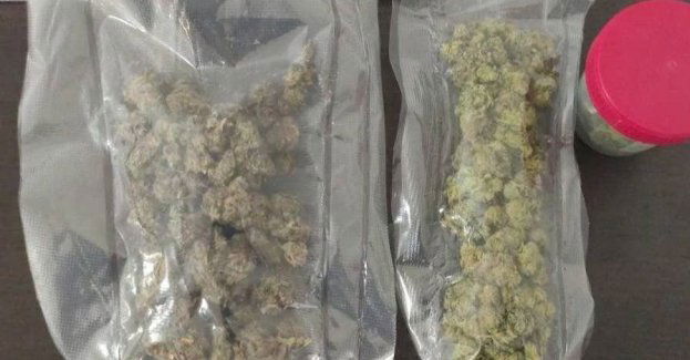 Mieszkaniec Kielc zatrzymany po zabezpieczeniu ponad 70 g marihuany