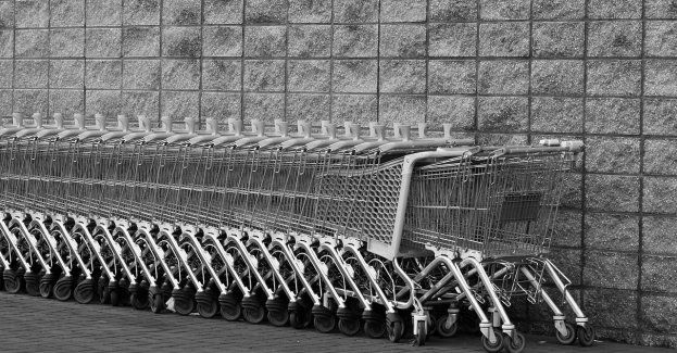 Skradziony towar wynosił w koszykach sklepowych