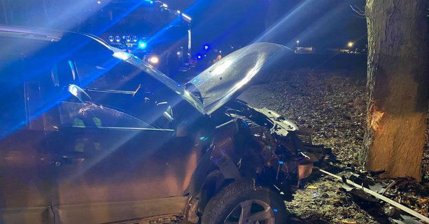Samochód uderzył w drzewo – dwie osoby trafiły do szpitala