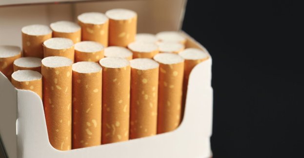 KAS udaremniła przemyt papierosów w ładunku cebuli