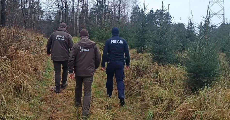 zdjęcie: Policja i straż leśna patrolują lasy przed świętami / fot. KPP Międzychód