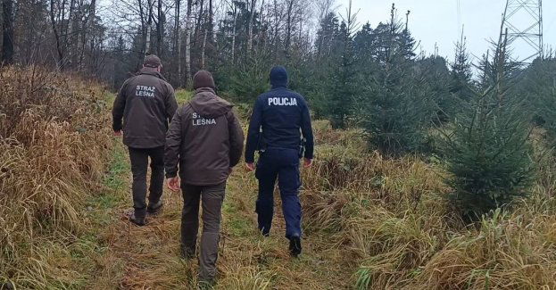 Policja i straż leśna patrolują lasy przed świętami