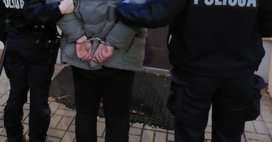 zdjęcie: Mężczyzna zatrzymany za kradzież roweru i posiadanie amfetaminy / fot. KPP Chodzież