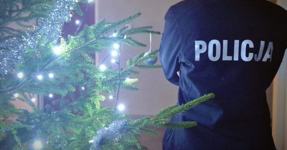 zdjęcie: Kupuj choinkę tylko z legalnego źródła / fot. KMP w Skierniewicach