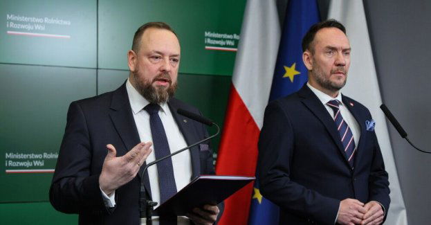 Główny lekarz weterynarii: 368 kontroli schronisk, w 40 stwierdzono nieprawidłowości