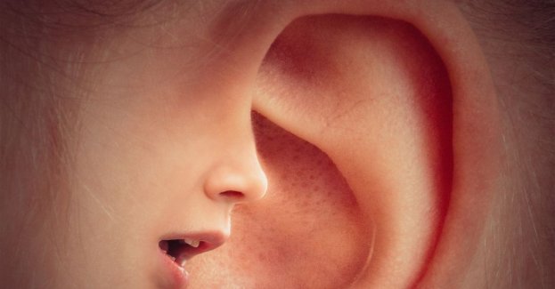 Wójt gminy Grodzisk prawomocnie skazany