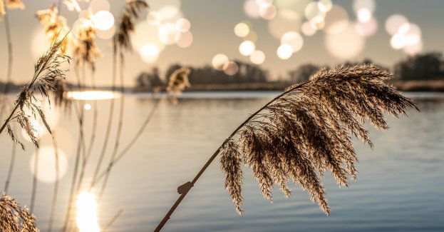 Akt oskarżenia za zrzucenie człowieka z mostu do rzeki
