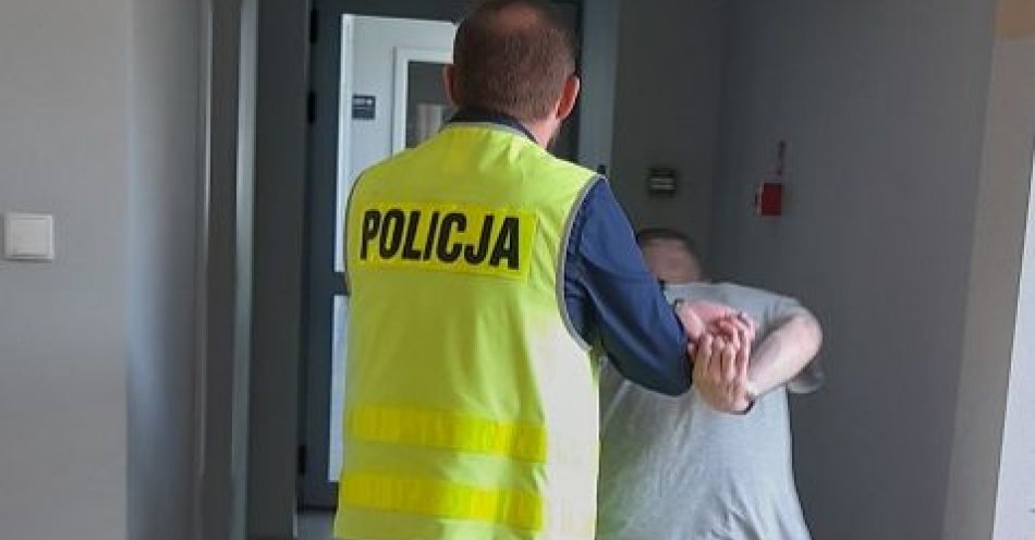 zdjęcie: Sprawca kradzieży rozbójniczej zatrzymany przez policjantów / fot. KPP w Pruszczu Gdańskim