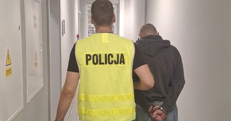 zdjęcie: Kryminalni zatrzymali 26-latka, którego powiązali z trzema kradzieżami z włamaniem / fot. KPP w Pruszczu Gdańskim