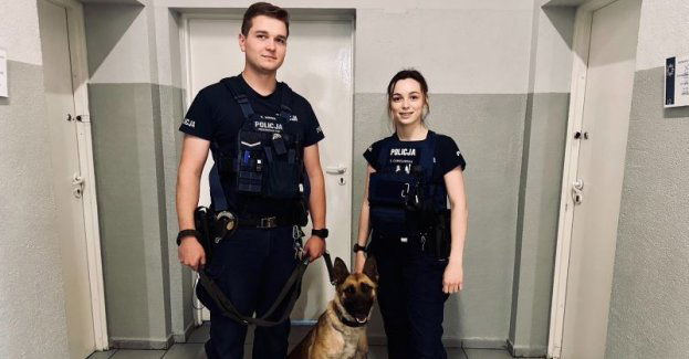 Dwójka lubińskich policjantów z Wydziału Prewencji i pies Rampa błyskawicznie odnaleźli zagubioną seniorkę