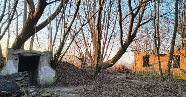 Czujność służb zapobiegła tragedii. Bezdomny 50-latek odnaleziony przez policjantów
