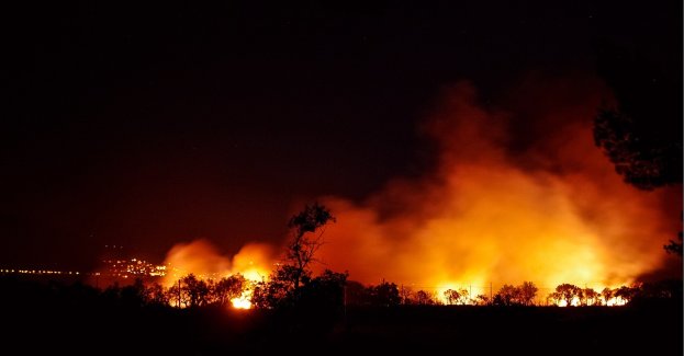 Śmiertelna ofiara pożaru w Zabrzu