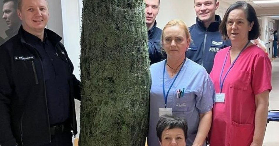 zdjęcie: Choinka od policjantów dla małych pacjentów szpitala dziecięcego / fot. KMP Lublin