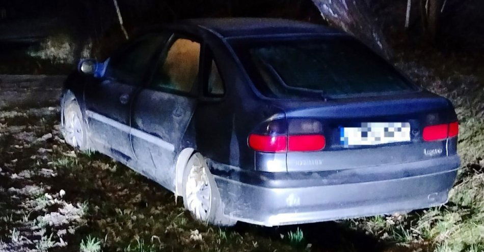 zdjęcie: Jechali pijani. Jeden wjechał w płot, drugi potrącił psa, a trzeci porzucił auto na poboczu drogi / fot. KPP Opole Lubelskie