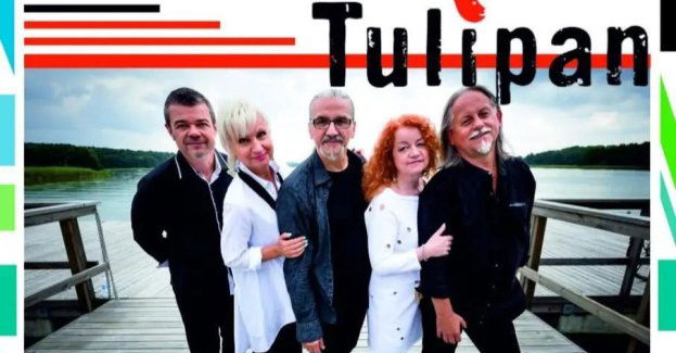 Czerwony Tulipan