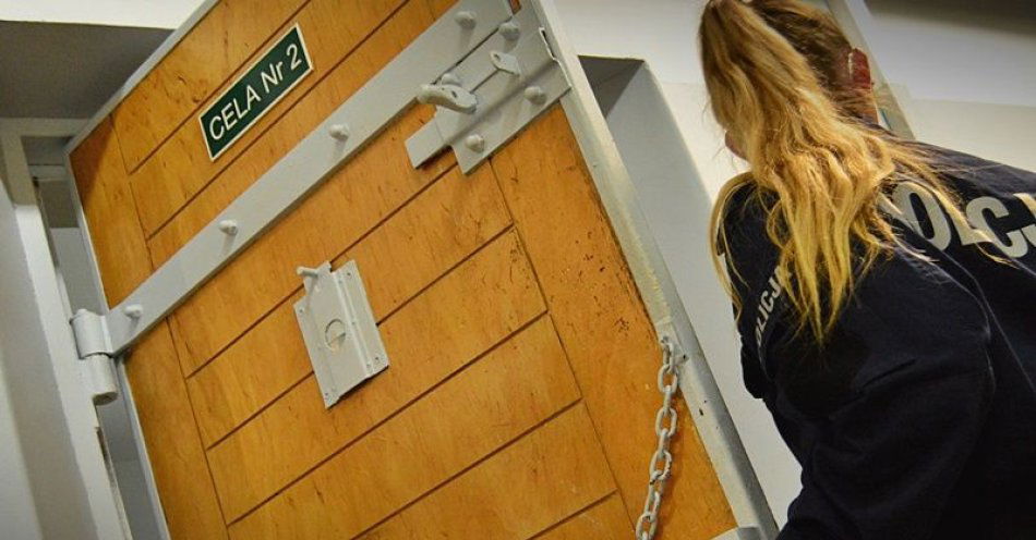 zdjęcie: Kolejni poszukiwani wpadli w ręce policjantów. Tym razem pięć osób / fot. KMP w Wałbrzychu