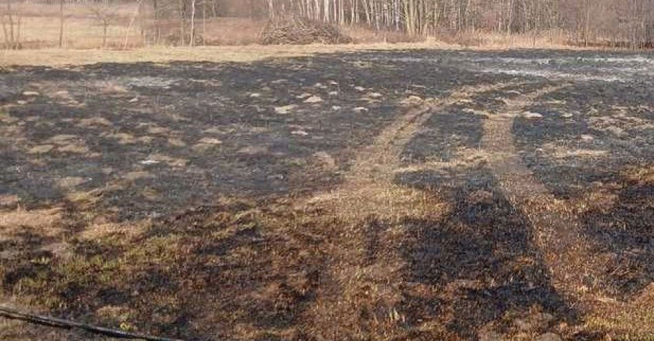 zdjęcie: Wypalanie traw grozi więzieniem i wysokimi karami / fot. KPP w Nisku fot.: KPP w Nisku