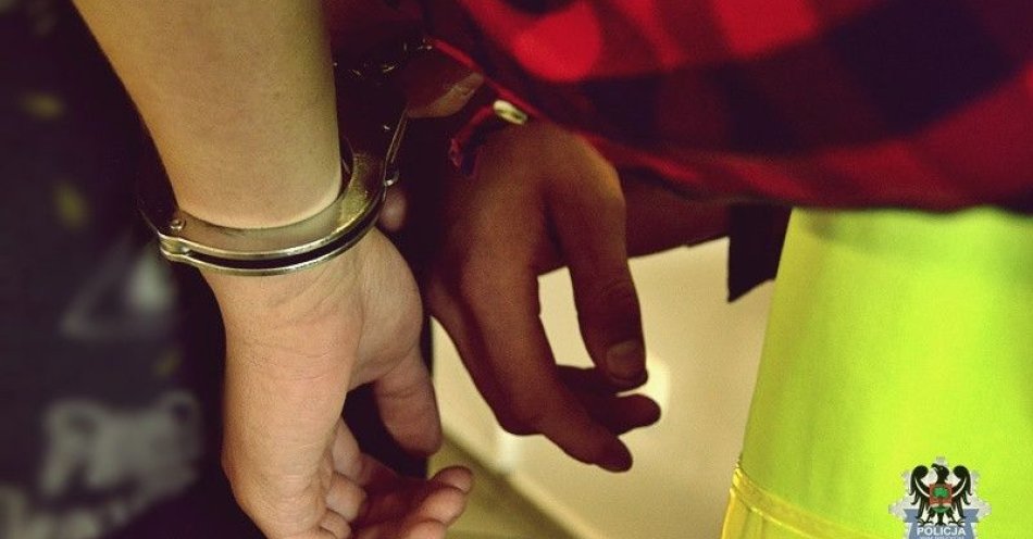 zdjęcie: Ukradł rower z pralni po imprezie. Mężczyzna zatrzymany / fot. KMP w Wałbrzychu