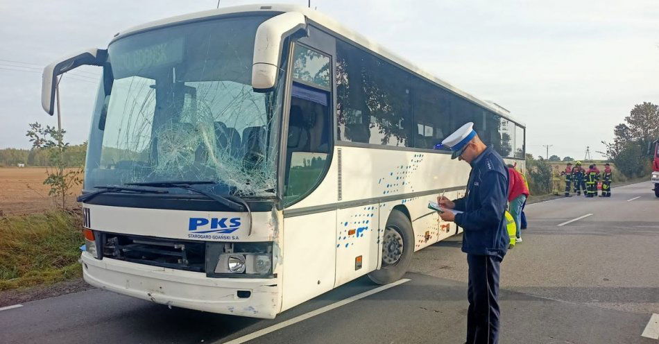 zdjęcie: Policjanci pracowali na miejscu wypadku drogowego z udziałem autobusu / fot. KPP w Pruszczu Gdańskim