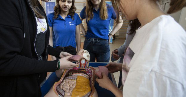 Naukobus i człowiek-układanka w Zduńskiej Woli