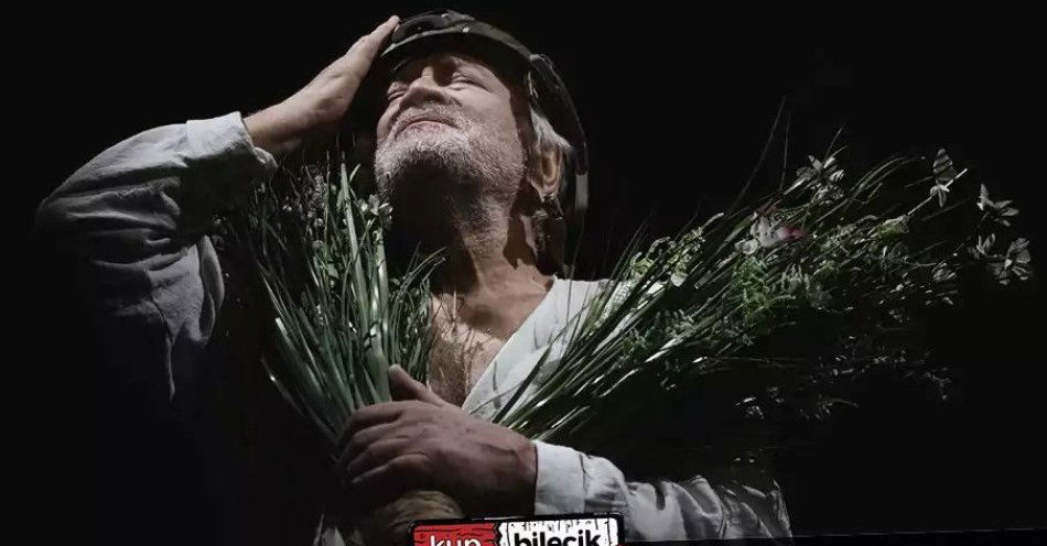 zdjęcie: Monodram LEAR Andrzej Seweryn / kupbilecik24.pl / Monodram