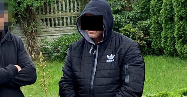 Zatrzymany w związku z zabiciem alpak pod Inowrocławiem