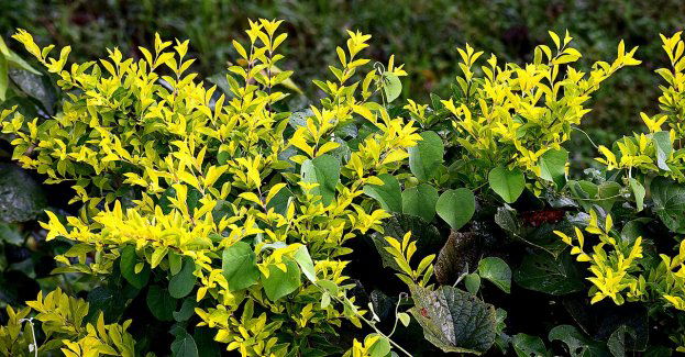 Rozstrzygnięcie konkursu. Najlepiej spisana RJP