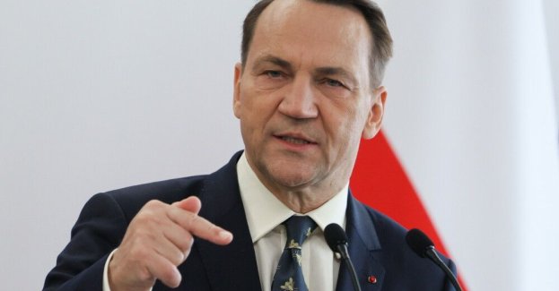 Sikorski do irańskiego ministra spraw zagranicznych: lepiej było nie sprzedawać Rosji dronów