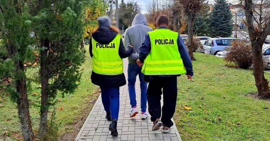 zdjęcie: Zarzuty za spowodowanie wypadku z ponad 3 promilami / fot. KPP Kraśnik
