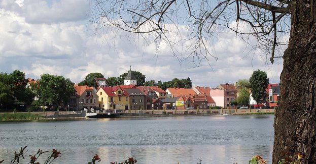Międzychód i szlachetna gruszka w herbie miasta