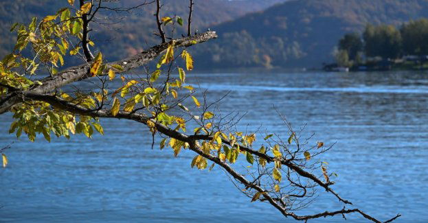 Duże zanieczyszczenie wód słodkich mikroplastikiem