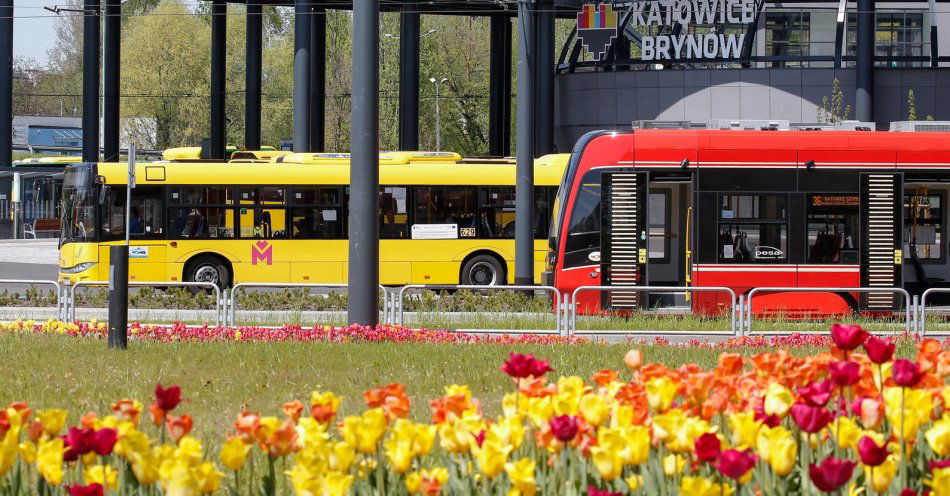 zdjęcie: 14 wykonawców chce zbudować Tramwaj na południe. Otwarto oferty w największym przetargu transportowym w historii Katowic / fot. nadesłane
