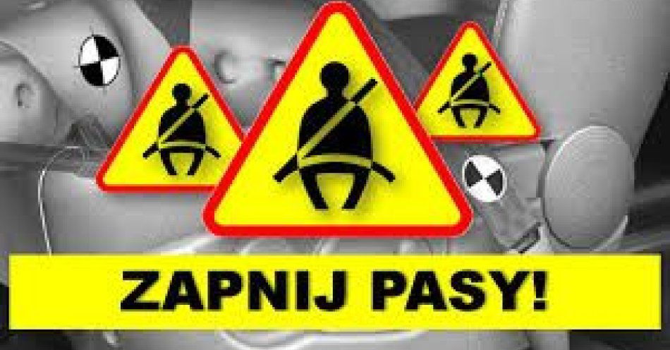 zdjęcie: Akcja Pasy / fot. KPP Mogilno
