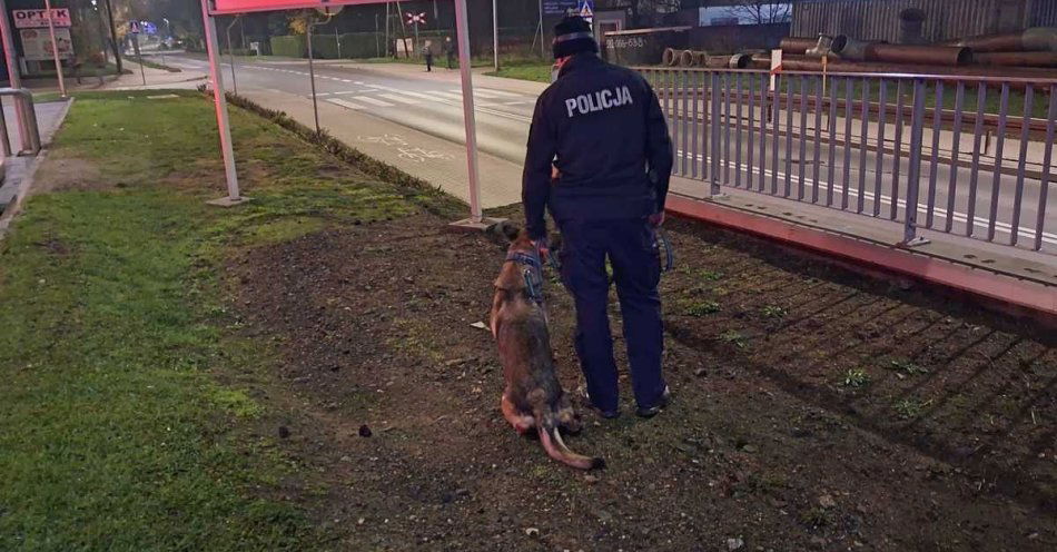 zdjęcie: Dwie osoby uratowane po równoległych poszukiwaniach w Kościanie / fot. KPP Kościan