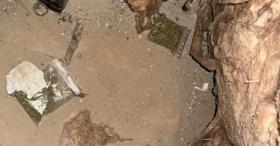 zdjęcie: Mieszkaniec Radomia zatrzymany z blisko 80 g marihuany / fot. KMP w Radomiu