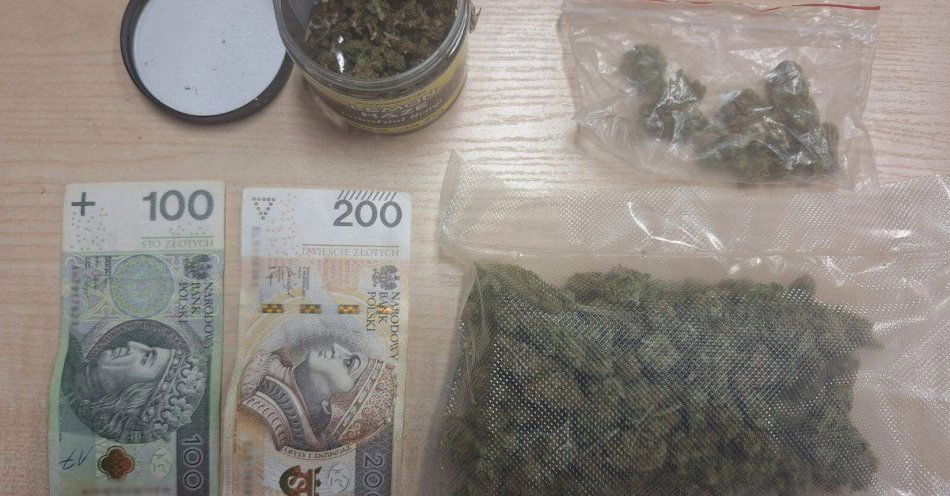 zdjęcie: Ponad 68 gramów marihuany u 23 letniego mieszkańca Chorzowa / fot. KMP w Chorzowie