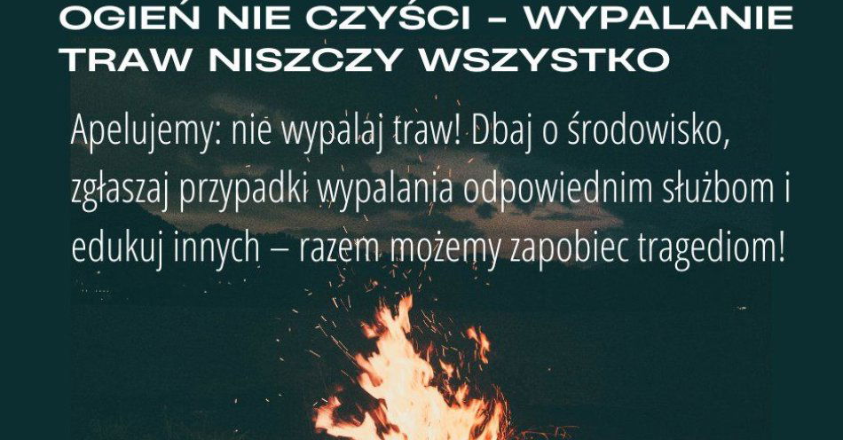 zdjęcie: Ogień nie czyści - wypalanie traw niszczy wszystko / fot. KPP w Sokołowie Podlaskim
