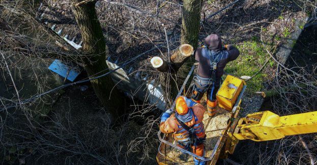 Strażacy 85 razy interweniowali w związku z burzami nad regionem